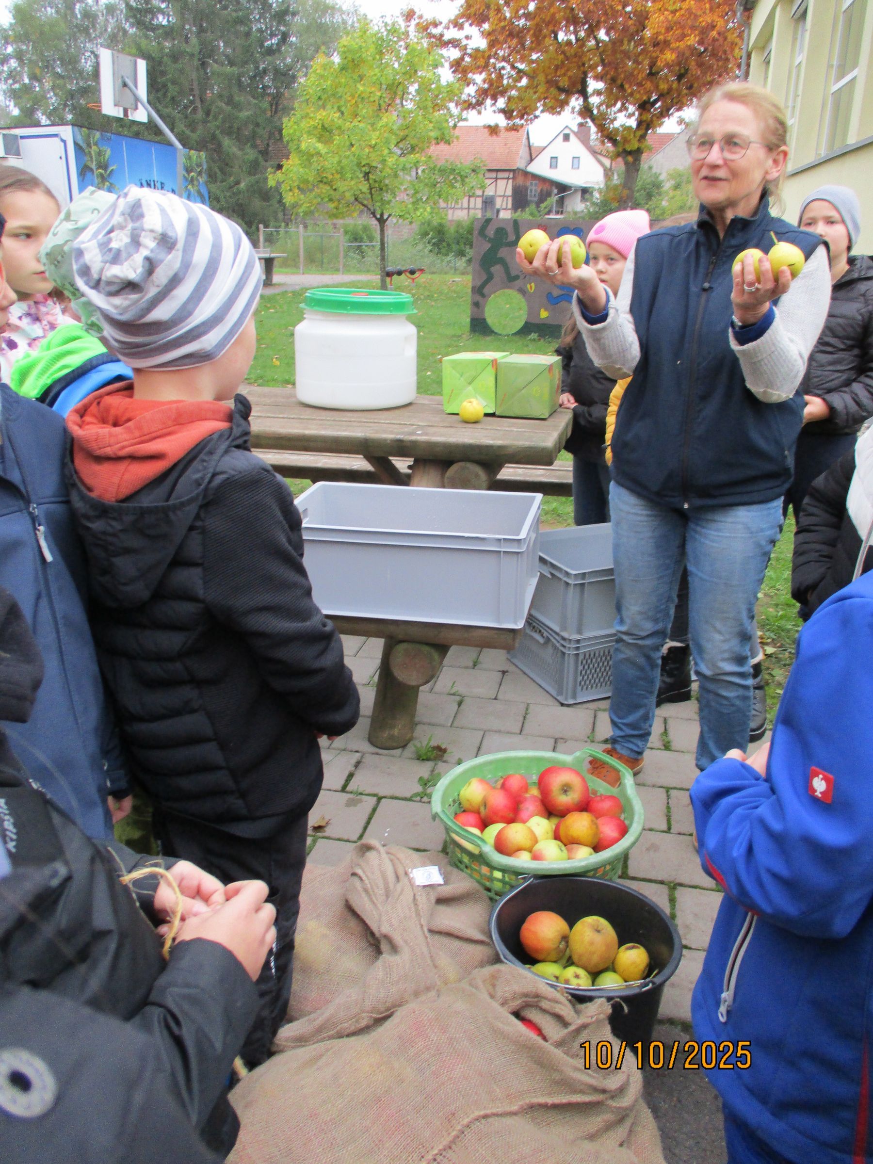 Streuobst, Artenviefalt, Sortenvielfalt