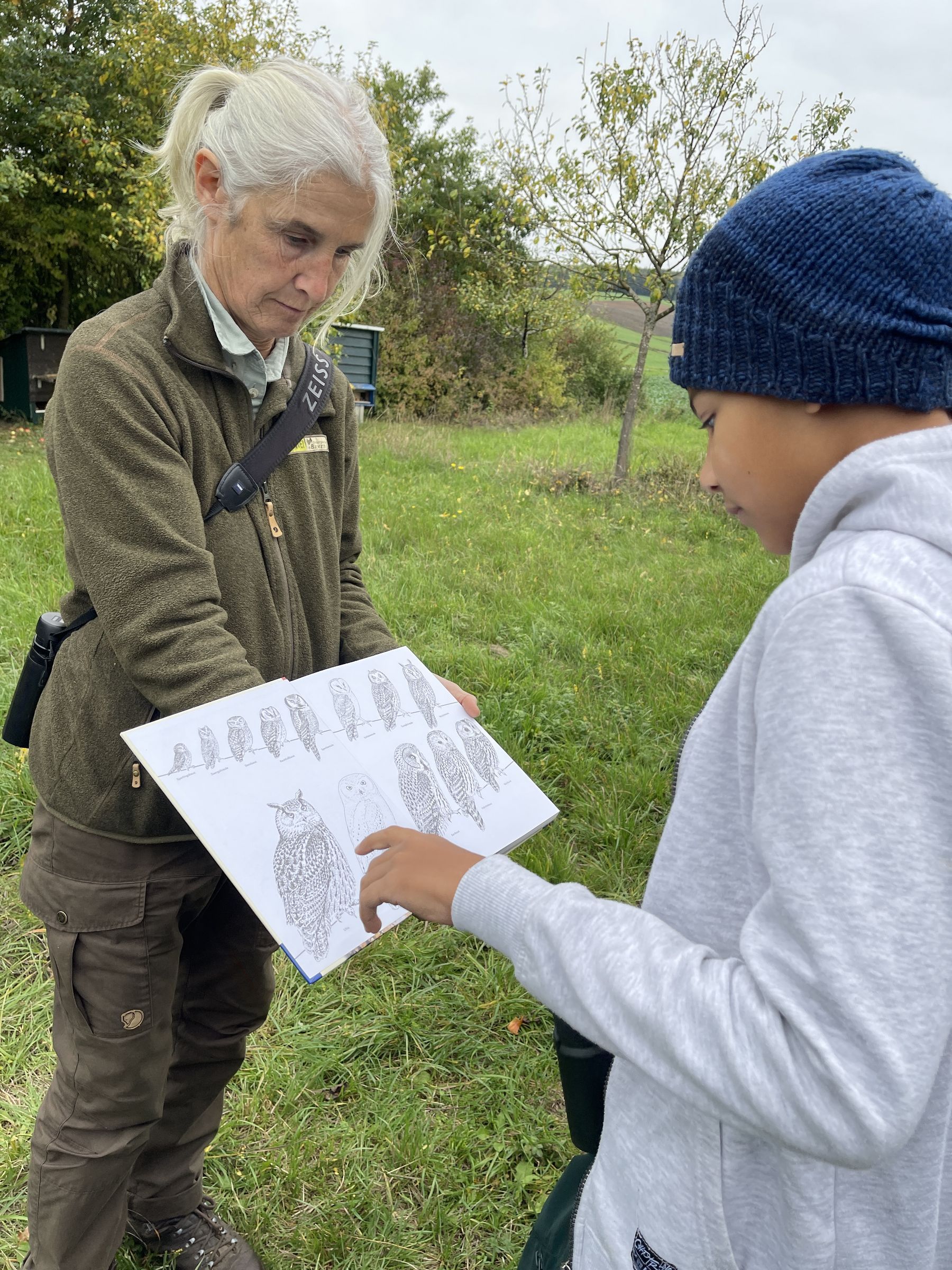Artenschutzprojekte Steinkauz Streuobst