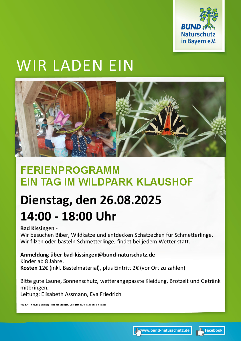 Ferienspass Insektenvielfalt Filzen Schmetterlinge
