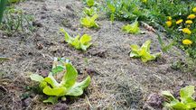 Bund Naturschutz Permakultur Selbstversorger
