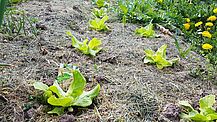 Bund Naturschutz Permakultur Selbstversorger