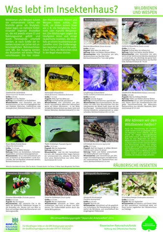 Wildbienen Insekteninfototafel für Wildbienenhotels
