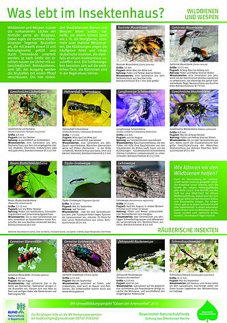 Wildbienen Insekteninfototafel für Wildbienenhotels