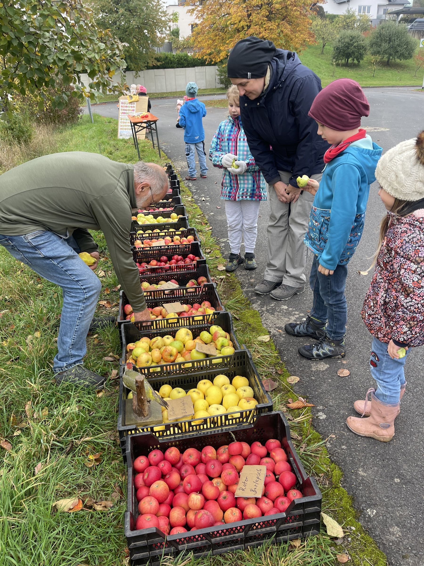 Streuobst, Artenviefalt, Sortenvielfalt