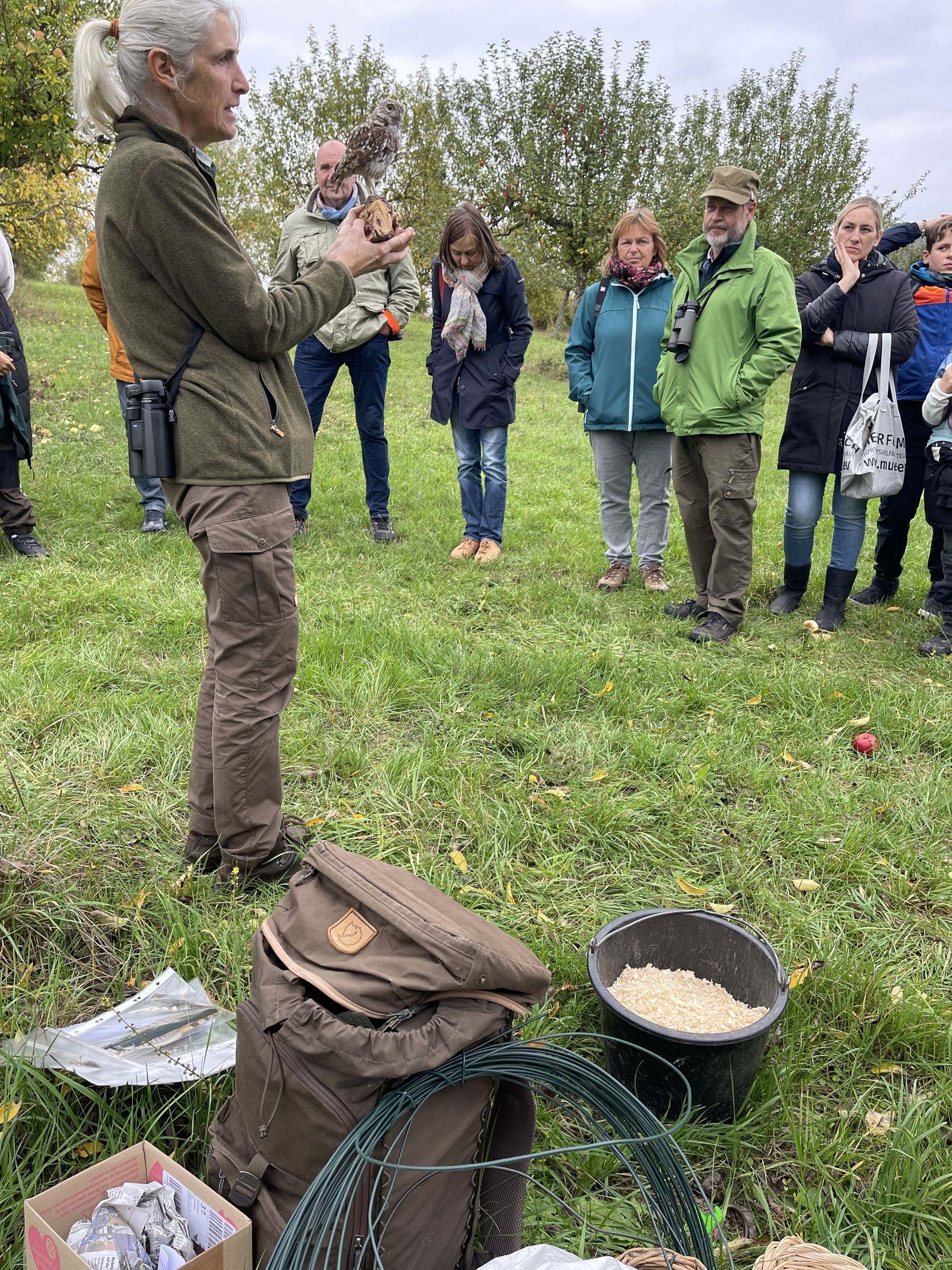 Artenschutzprojekte Steinkauz Streuobst
