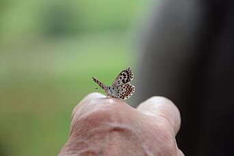 Foto: E. Assmann