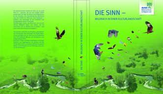 Das Buch: Die Sinn- Wildbach in einer Kulturlandschaft