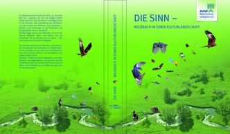 Das Buch: Die Sinn- Wildbach in einer Kulturlandschaft