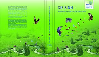 Das Buch: Die Sinn- Wildbach in einer Kulturlandschaft