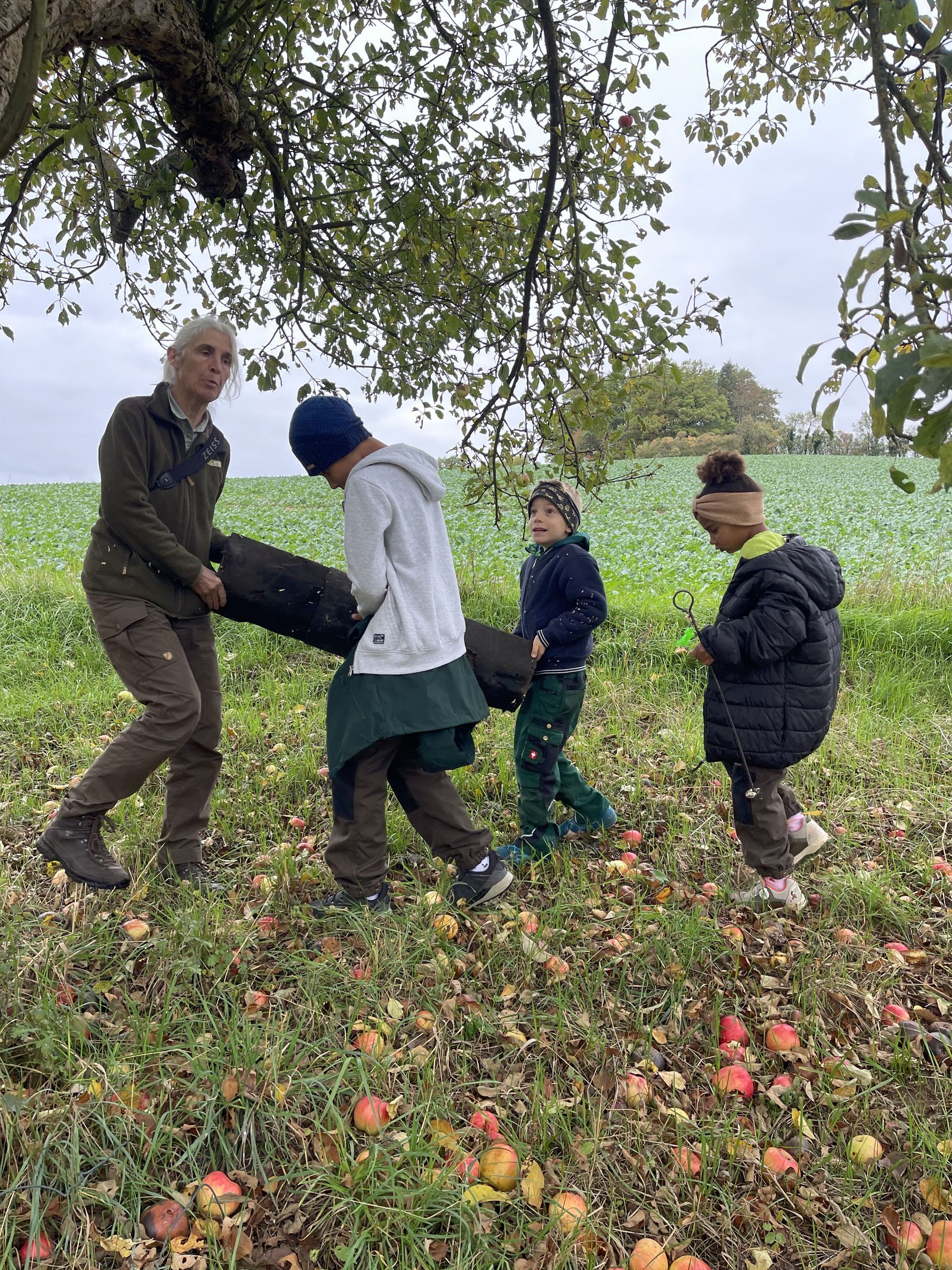 Artenschutzprojekte Steinkauz Streuobst
