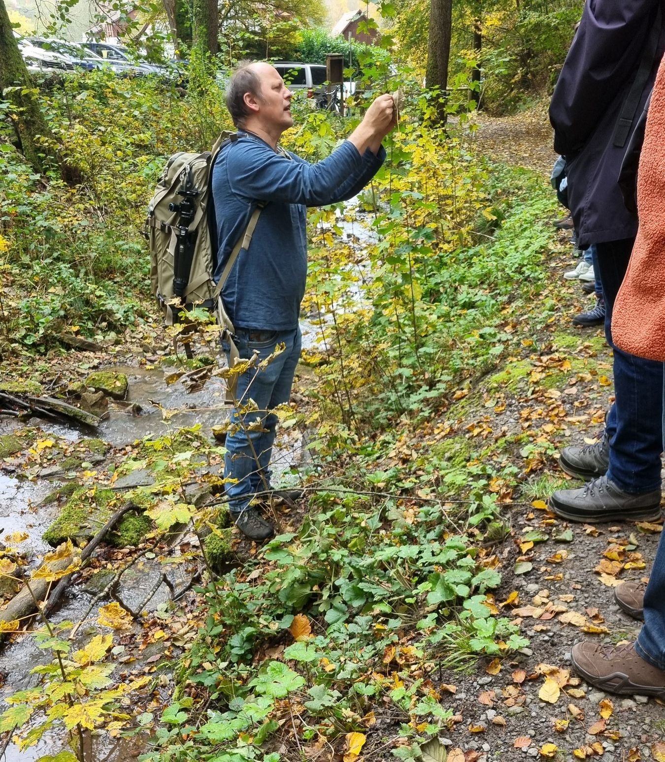 Ingo Queck steht am Ufer des Kaskadentalbachs und erklärt und zeigt einer Gruppe Interessierter Teilnehmenden der Quellenführung verschiedene Moose.