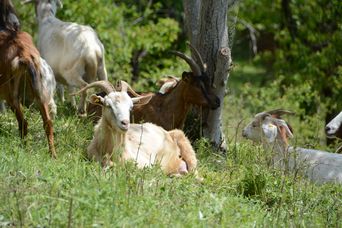 Foto: E. Assmann