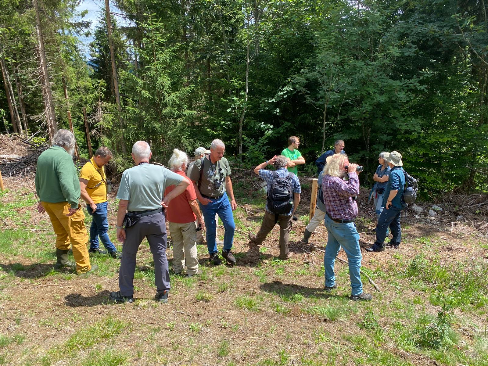 Artenschutz Grünes Band Bund Naturschutz