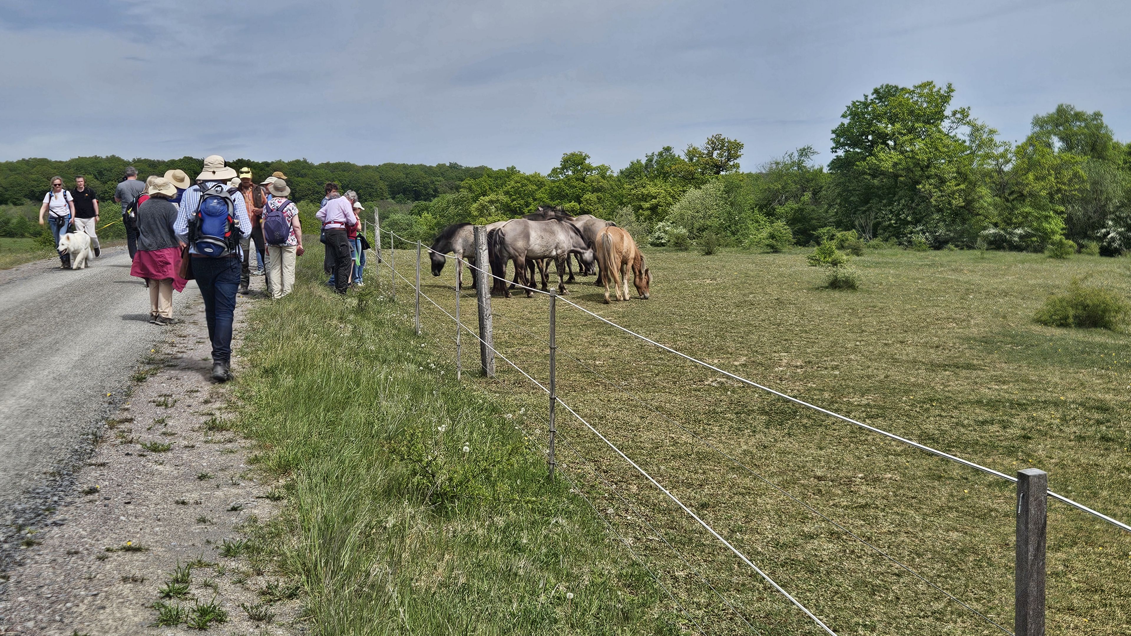 Naturschutzgebiet Brönnhof