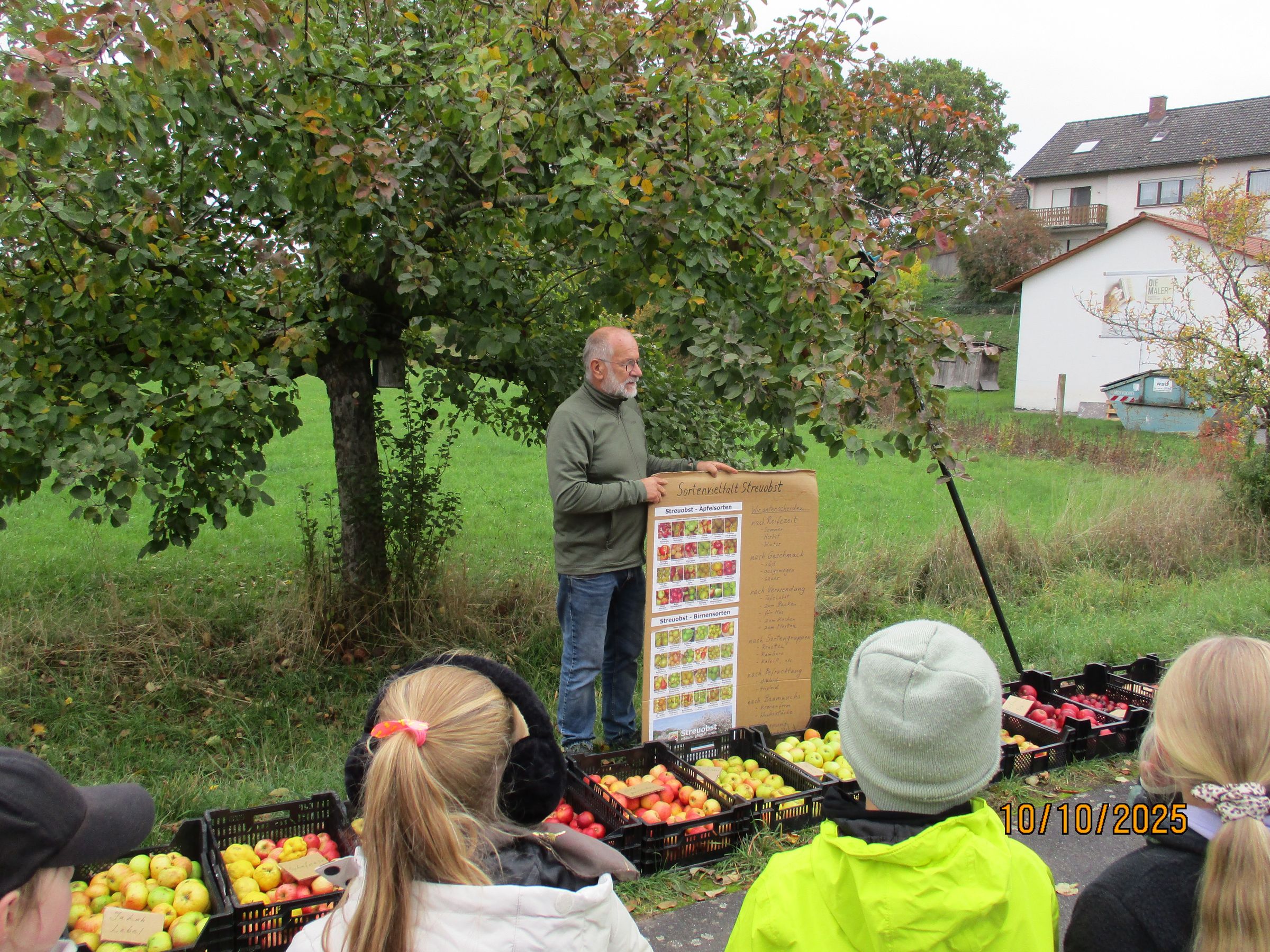Streuobst, Artenviefalt, Sortenvielfalt