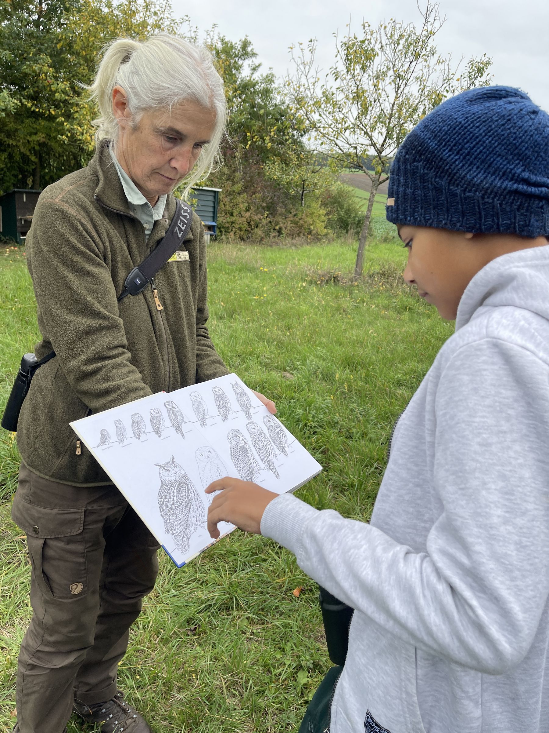 Artenschutzprojekte Steinkauz Streuobst