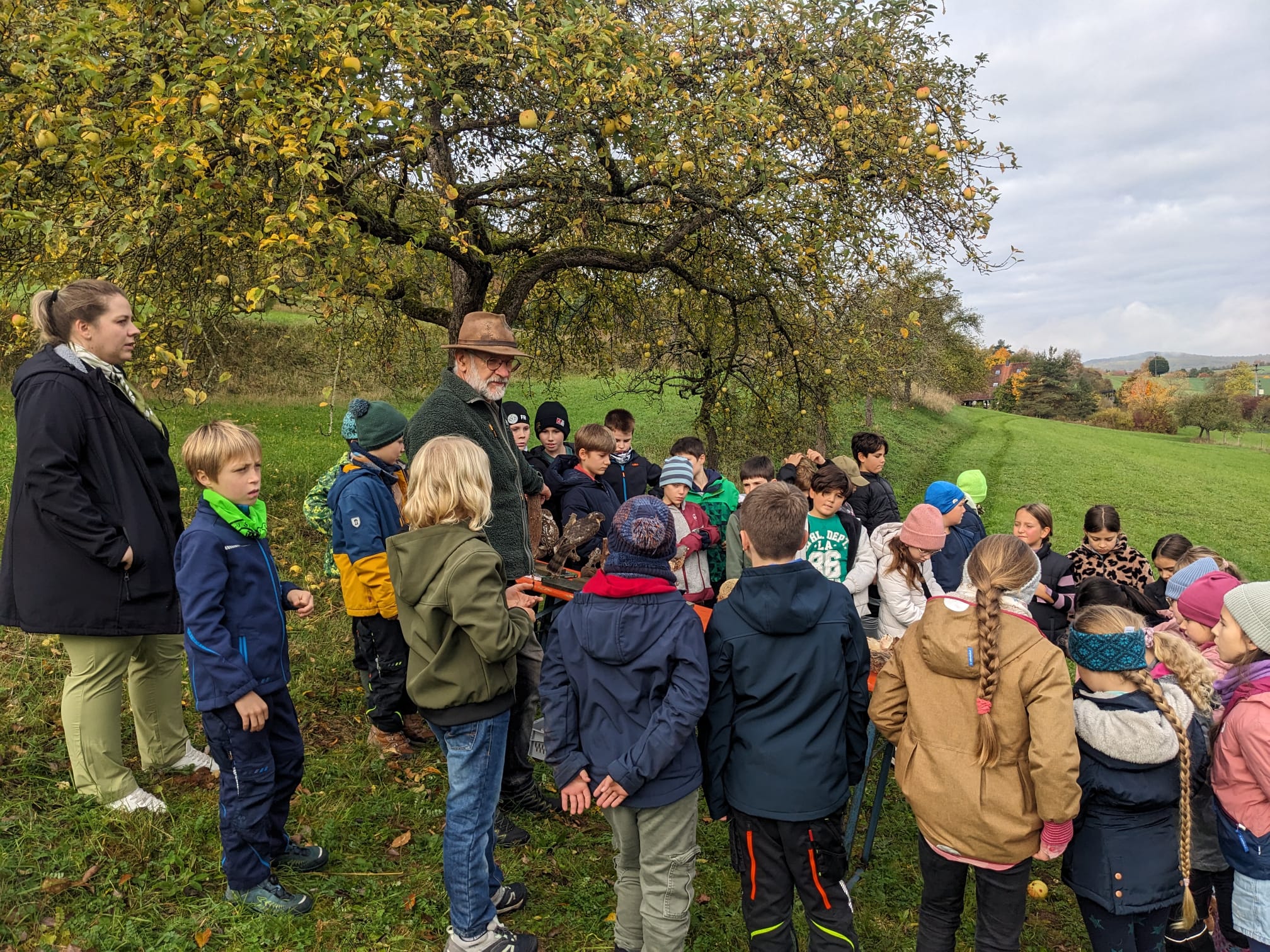 Streuobst, Artenviefalt, Sortenvielfalt