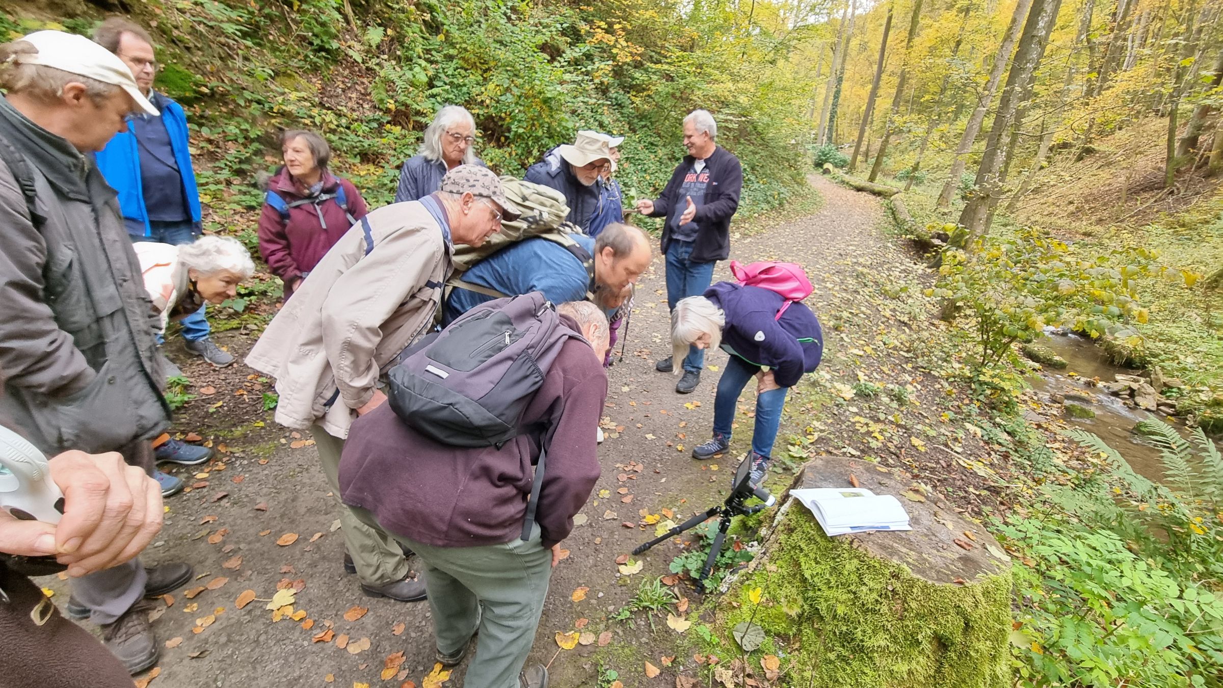 Die Teilnehmenden der Führung stehen im Kreis auf einem Weg im Kaskadental und betrachten gespannt die Vergrößerung der Moose auf der Digitatllupe. 