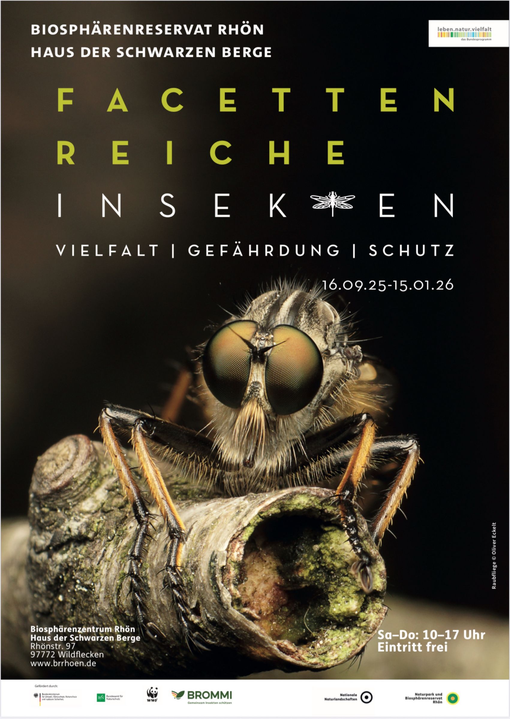 Insekten, Fotoausstellung